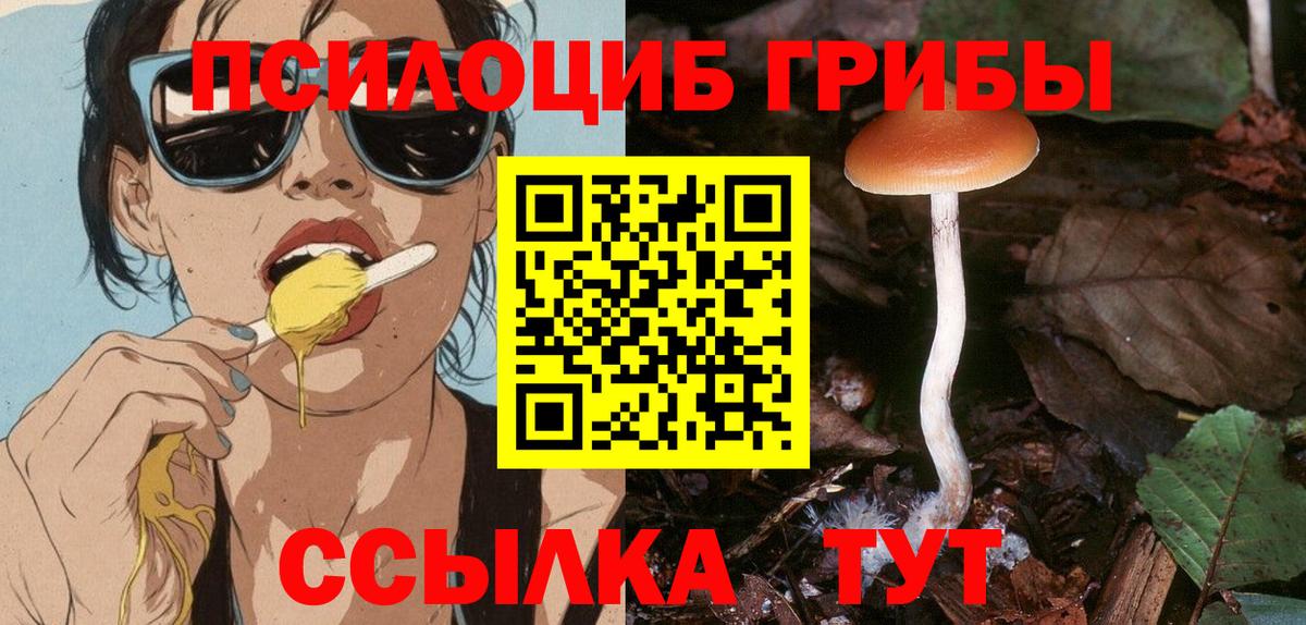 Галлюциногенные грибы Cubensis Коркино